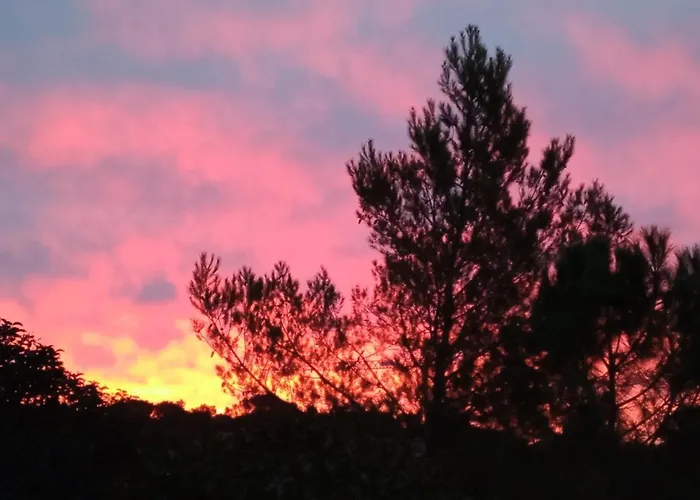 Le Clos Fleuri בית אירוח *