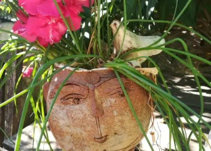 Le Clos Fleuri בית אירוח *