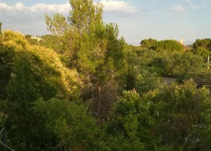 Le Clos Fleuri בית אירוח נים